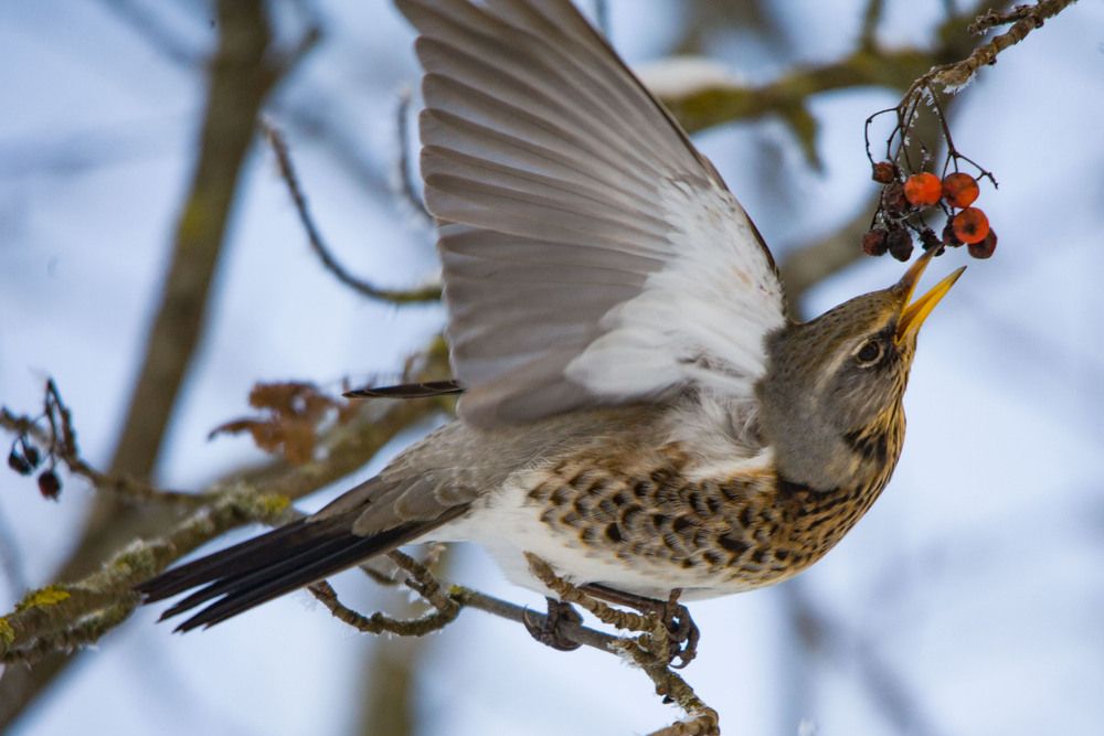 Photograph by Алексей Борисов