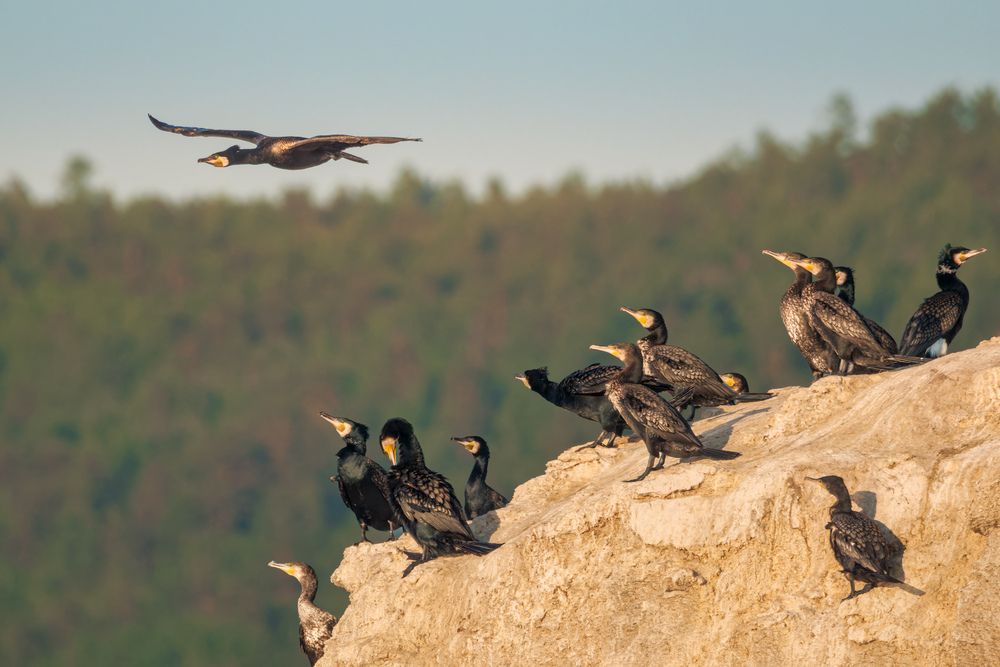 Photograph by Леонтьев Константин