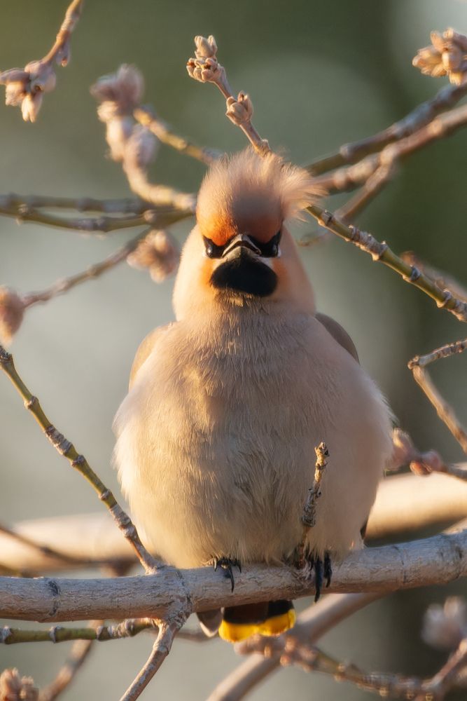 Photograph by Леонтьев Константин