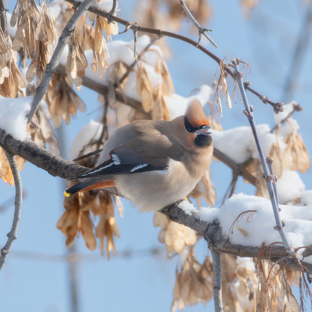 Photograph by Леонтьев Константин