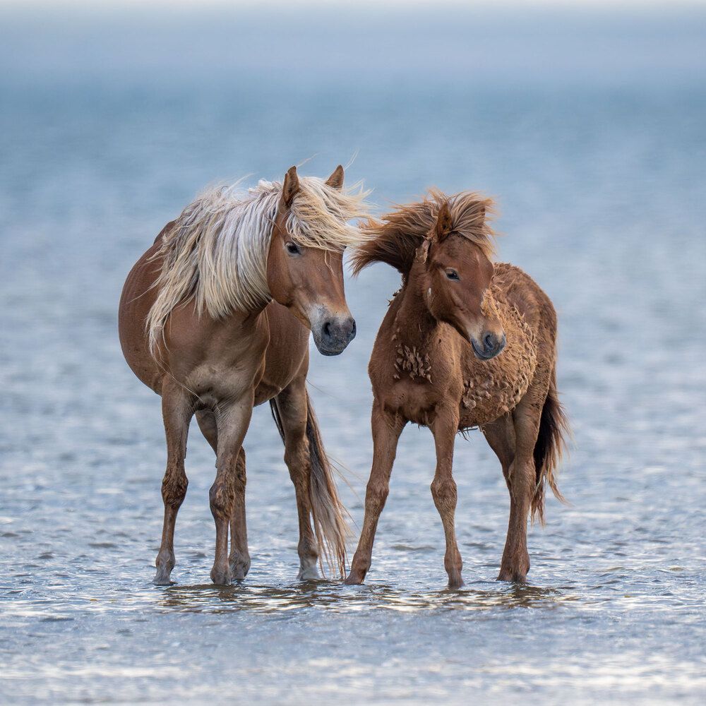 Photograph by Бушков Евгений