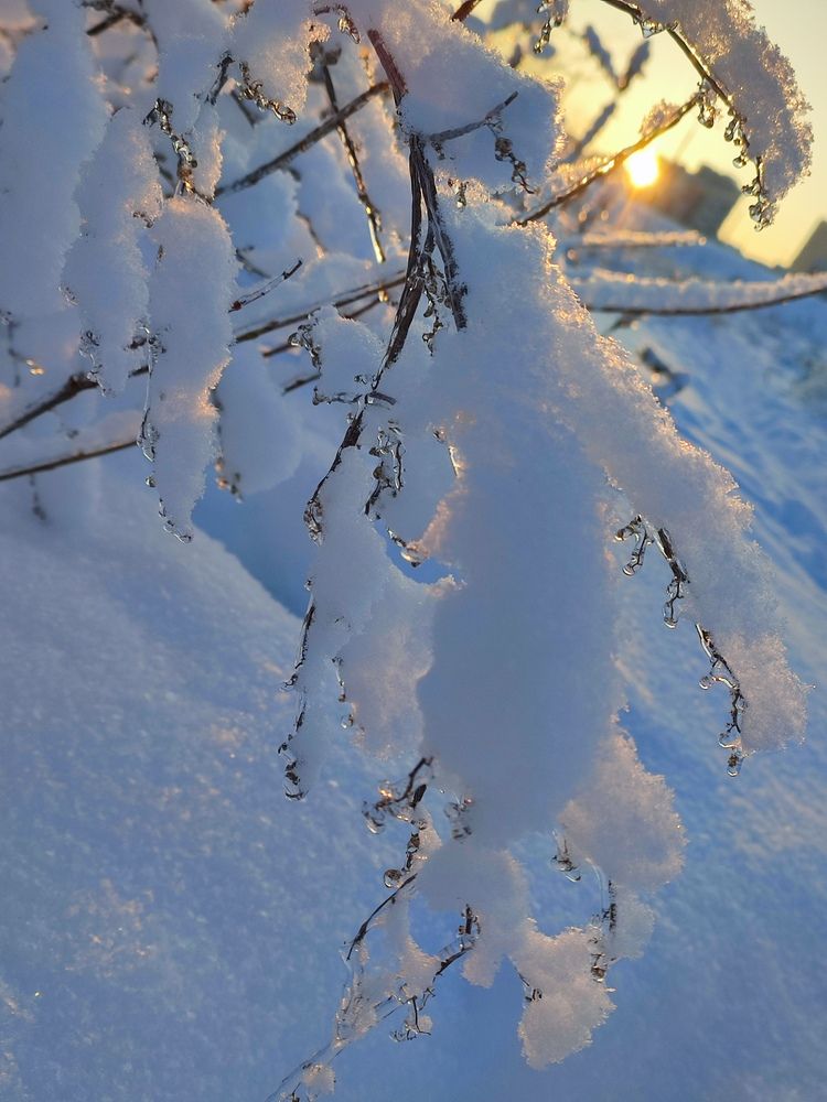 Photograph by Инна Новикова