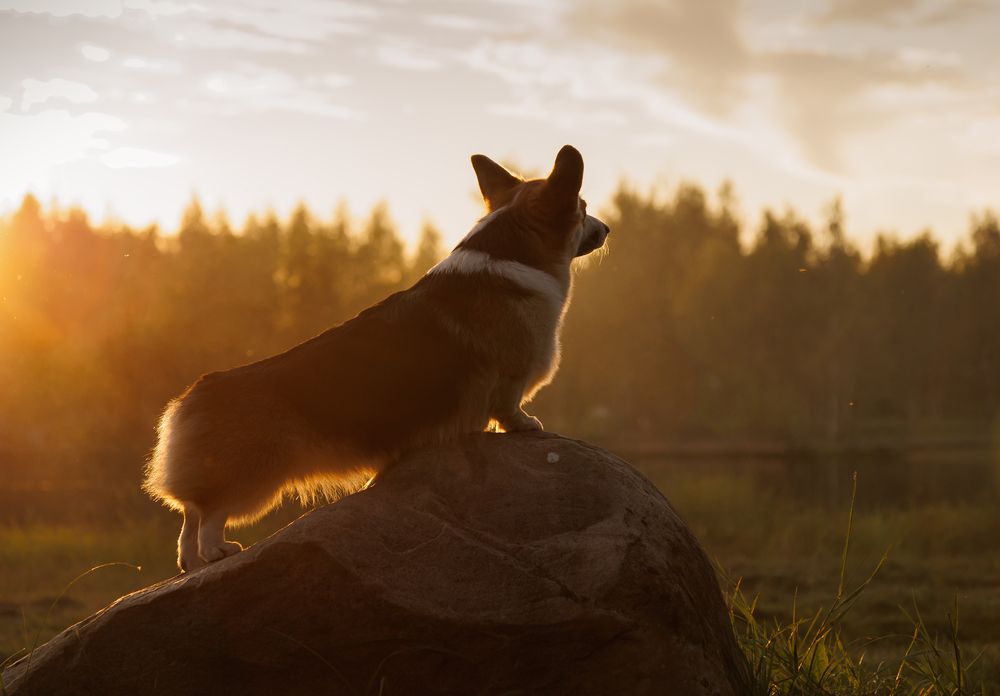 Photograph by Наталья Кирина