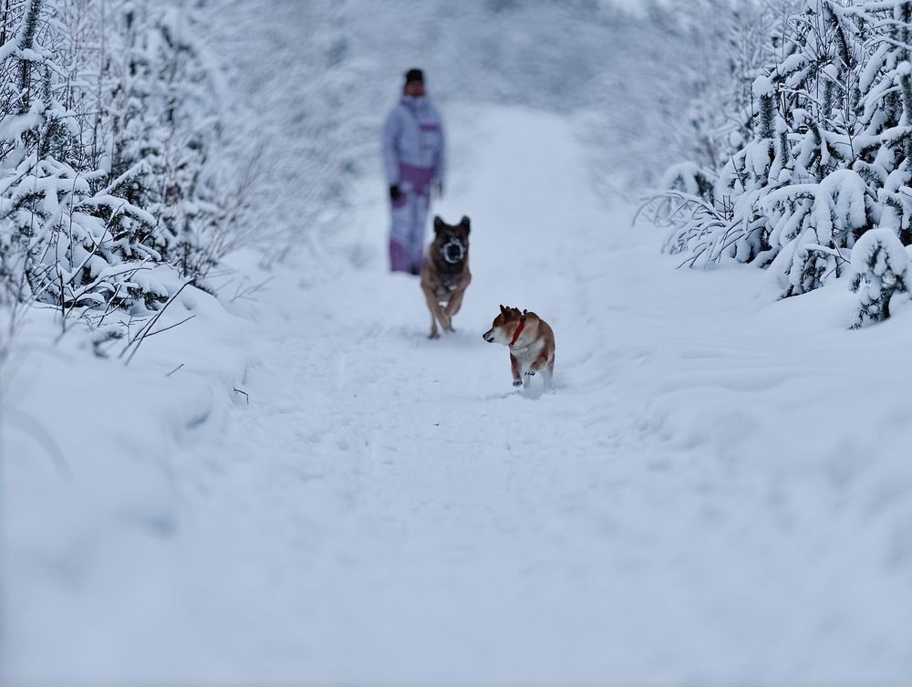 Photograph by Валерий Иванов