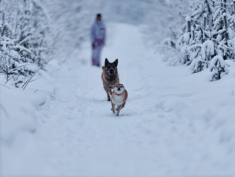 Photograph by Валерий Иванов
