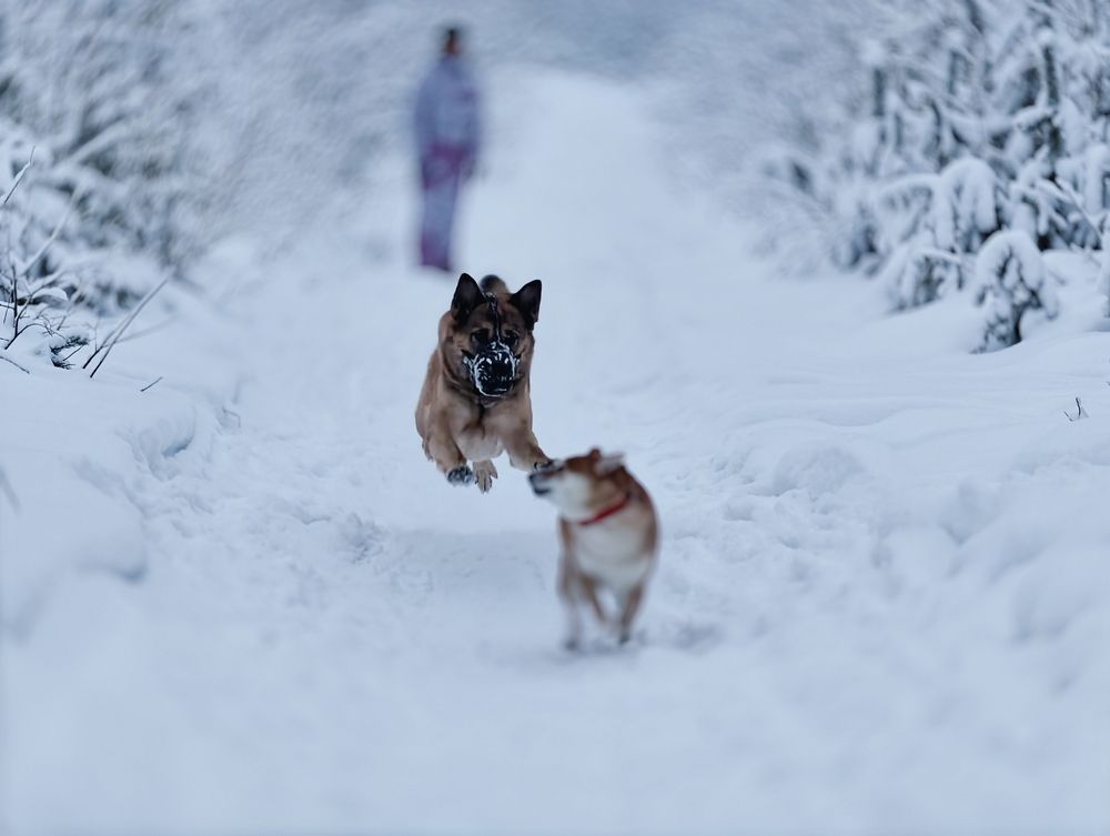 Photograph by Валерий Иванов