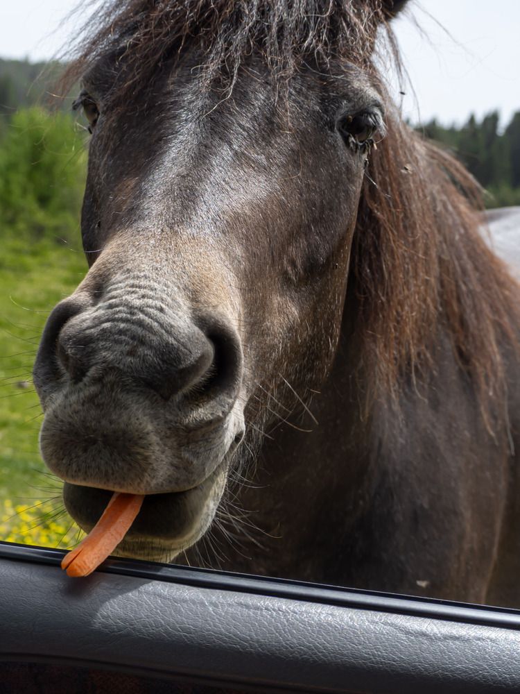 Фотография автора NECMETTİN SOBUTAY