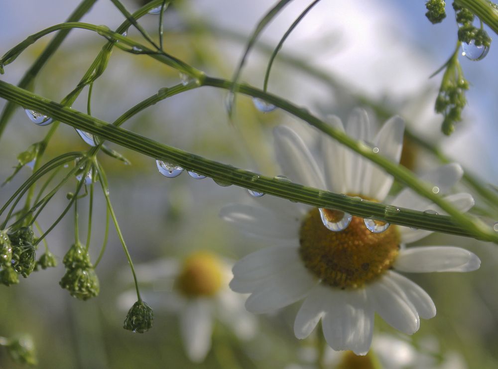 Photograph by Татьяна Феденкова