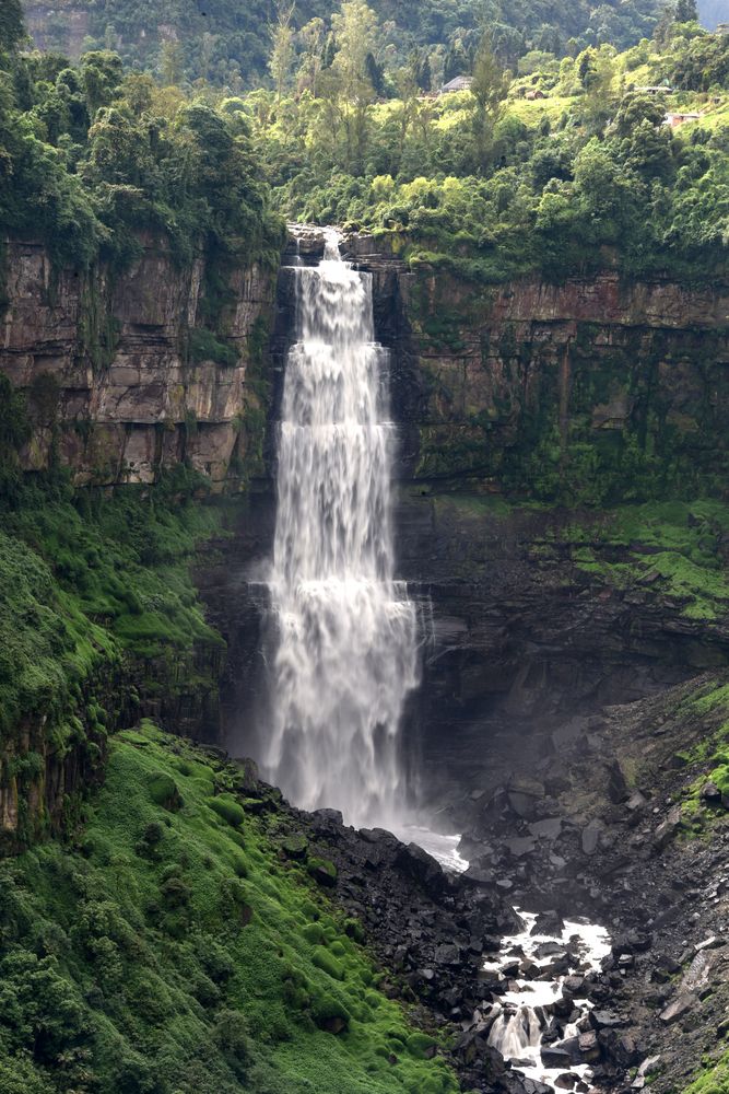 Photograph by Camilo Martinez