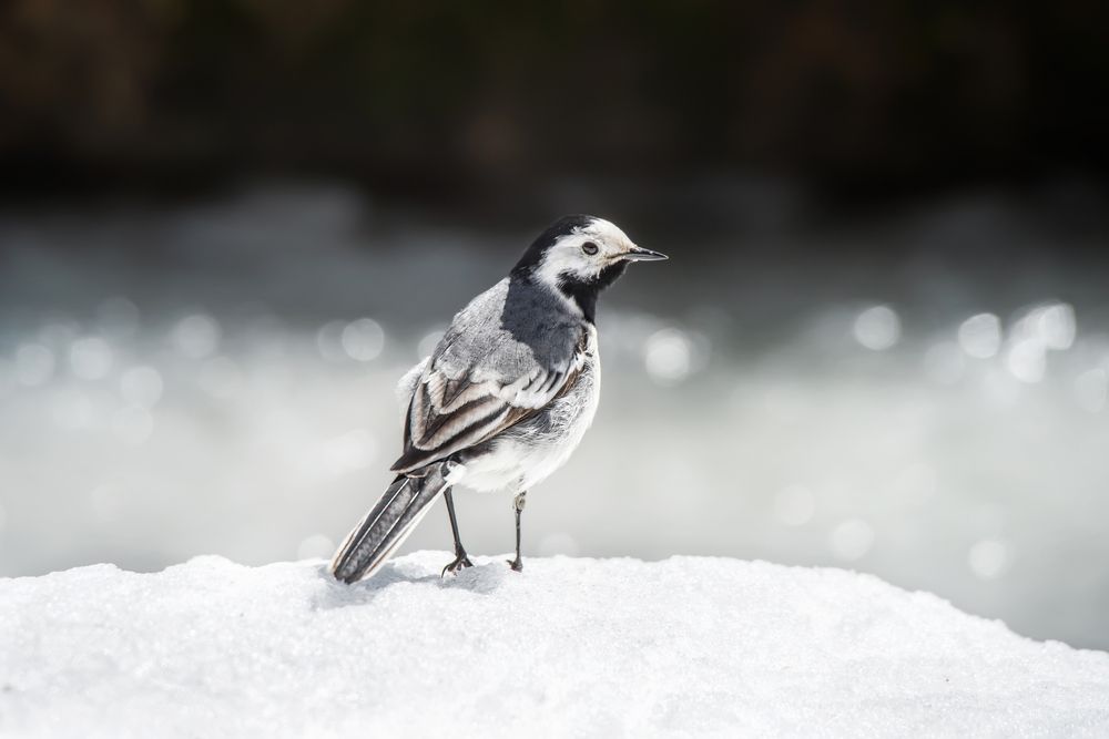 Photograph by Елена Соколова