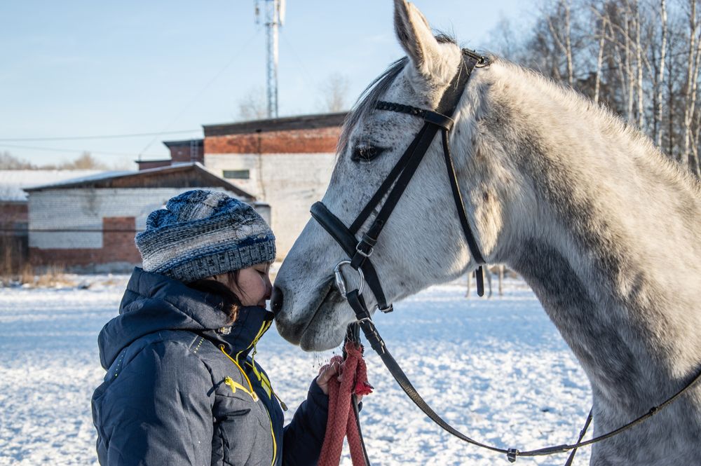 Фотография автора Дмитрий Анисимов