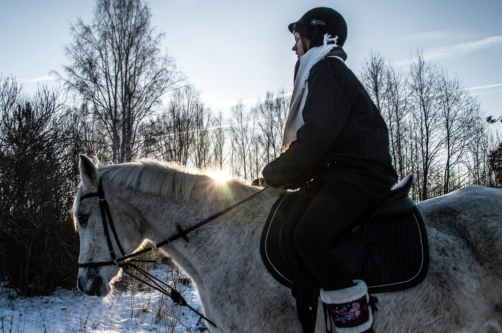 Фотография автора Дмитрий Анисимов