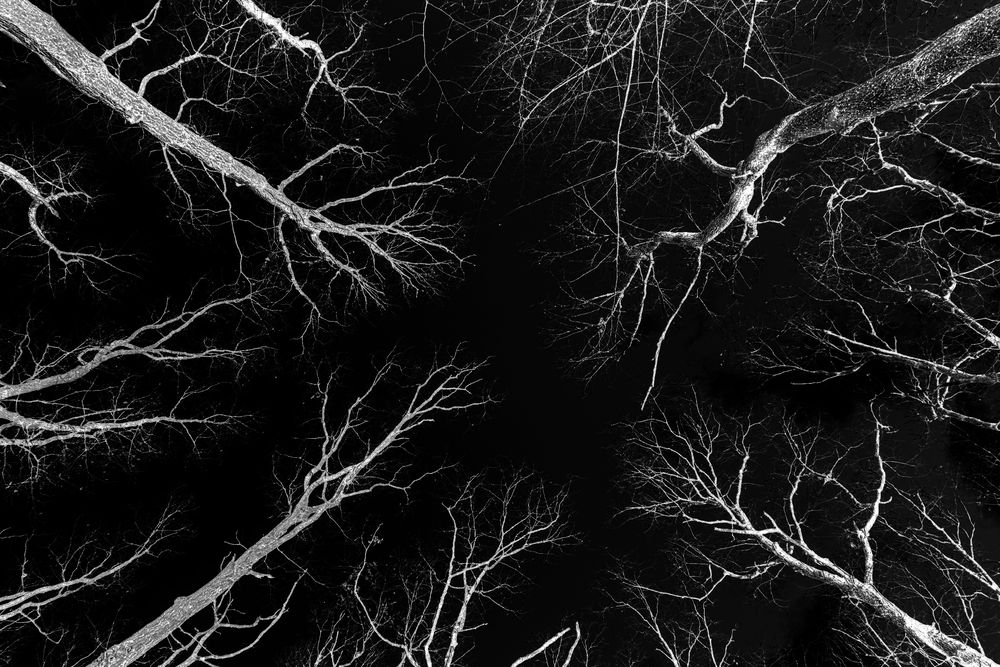 Photograph by Veronika Biró