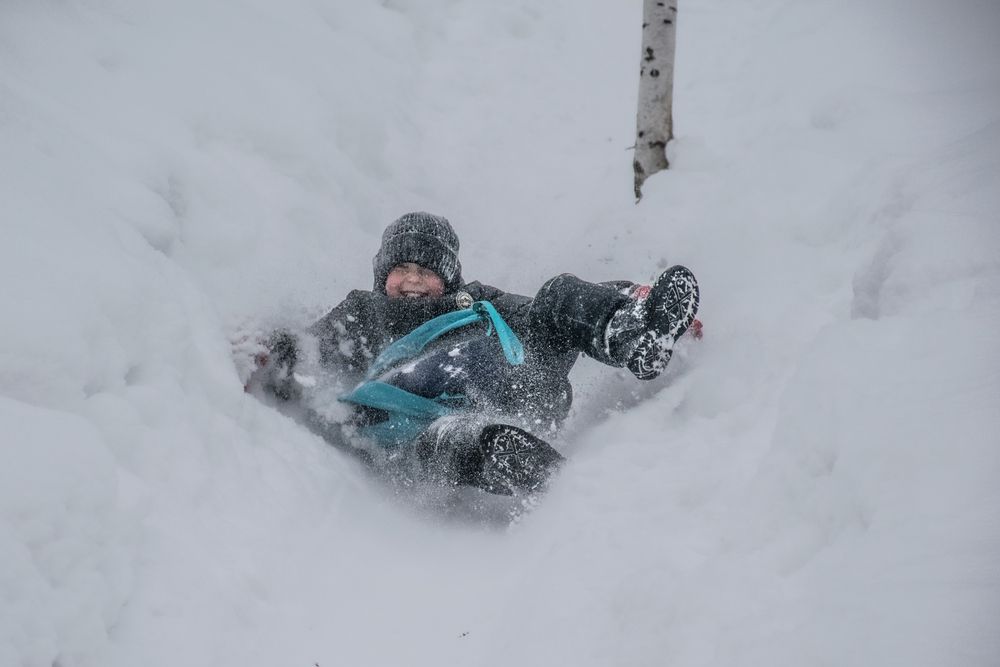 Фотография автора Дмитрий Анисимов