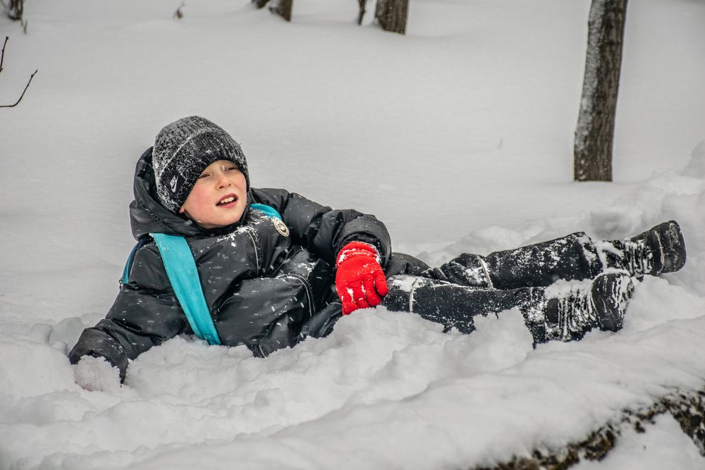 Фотография автора Дмитрий Анисимов
