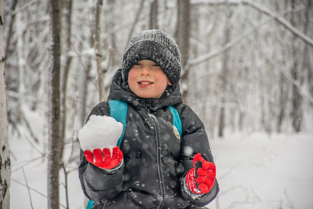 Фотография автора Дмитрий Анисимов