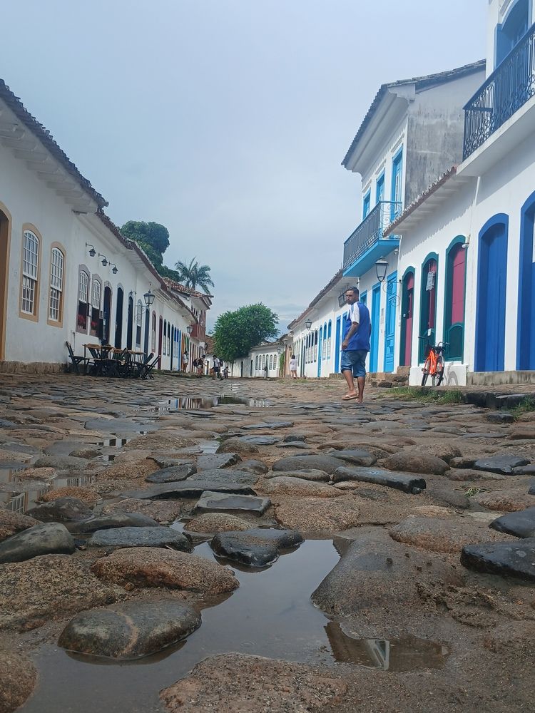 Photo #13103005