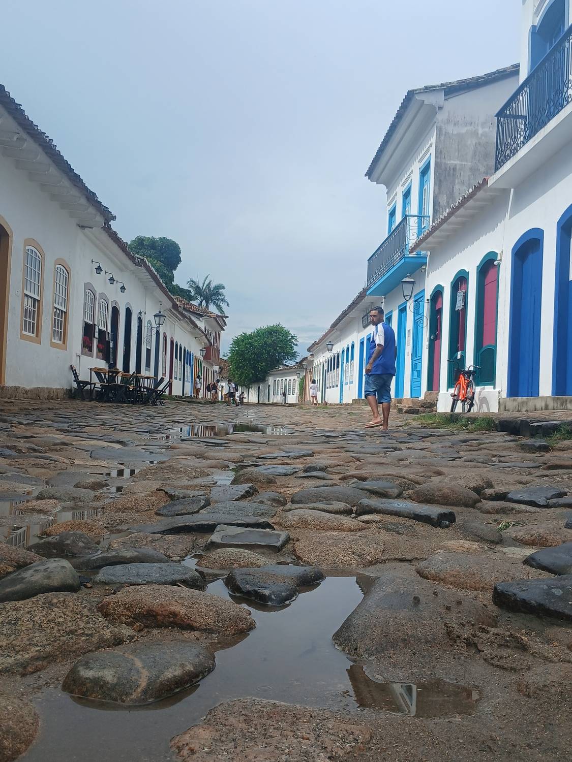 Photo #13103005