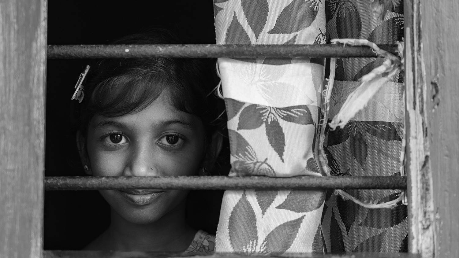 Framed Curiosity Framed Curiosity