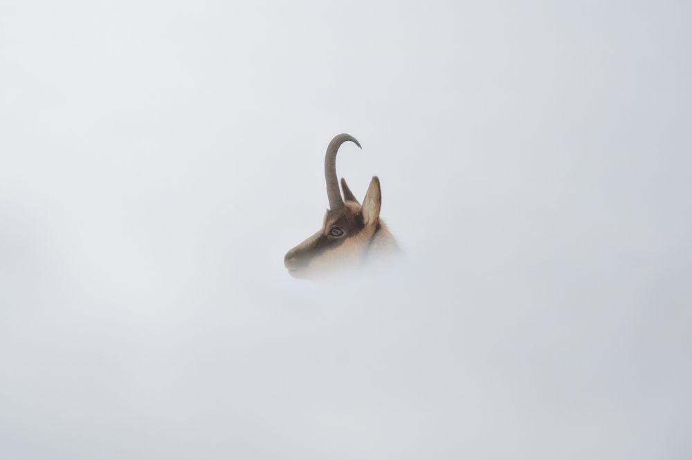 Photograph by Domenico Marrano