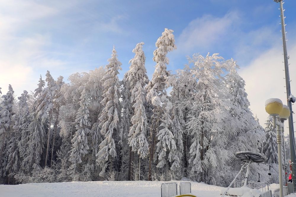 Фотография автора Владимир Лобанов