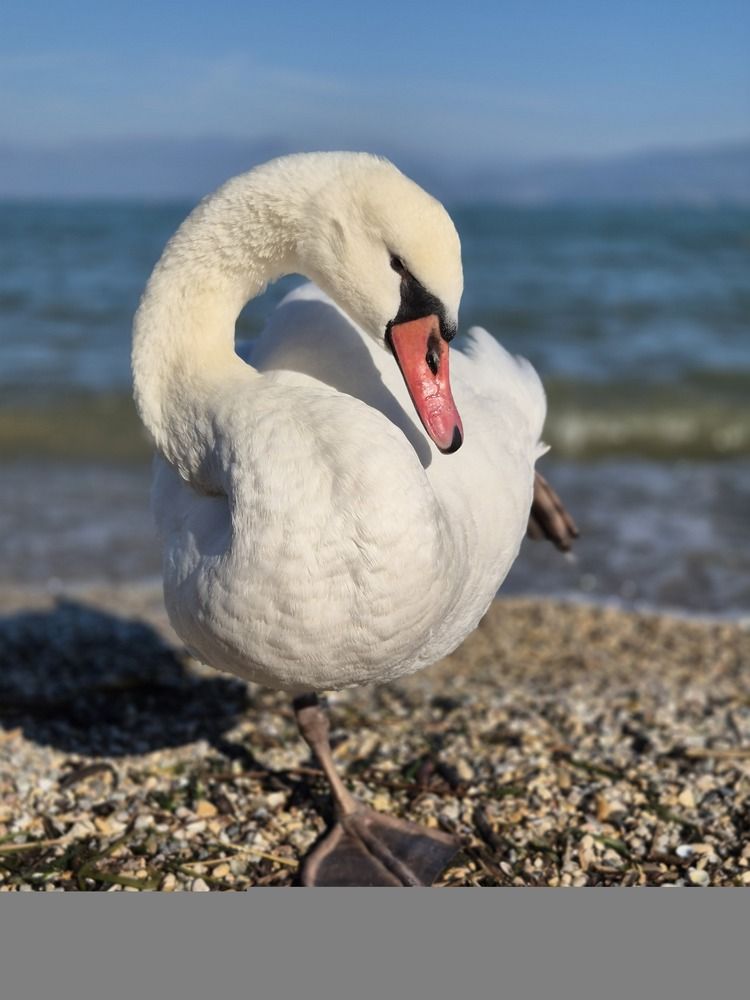 Photograph by Мария Коломиец