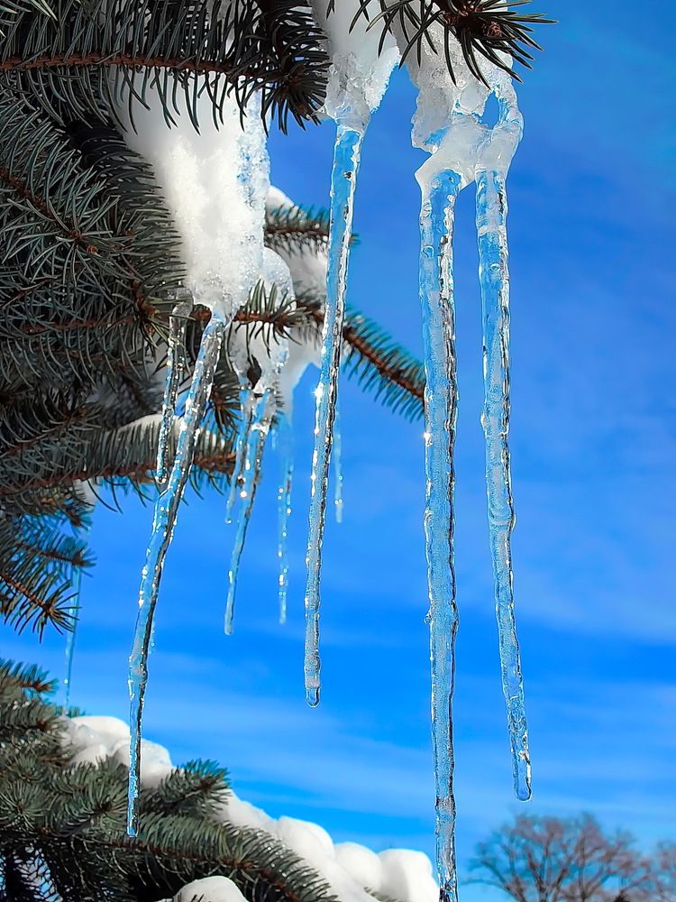 Фотография автора Игорь Чеботарёв