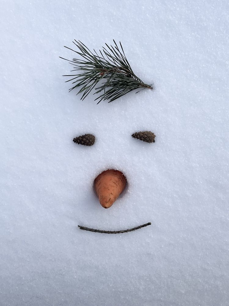 Фотография автора Мария Сергеева