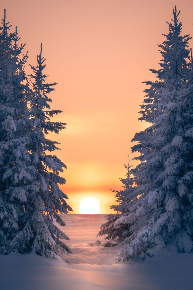 Photograph by Nephotograph