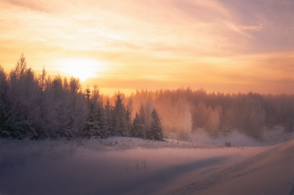 Фотография автора Nephotograph