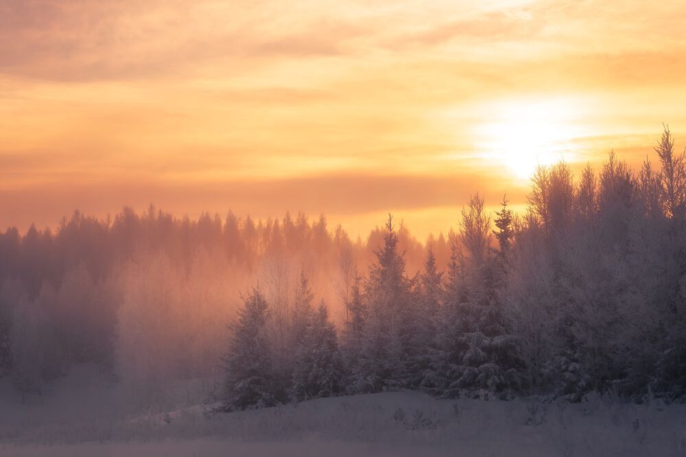 Фотография автора Nephotograph