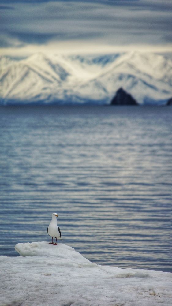 Photograph by Анна Дудко