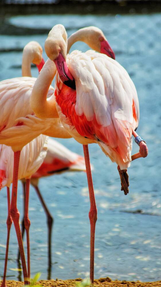 Photograph by Анна Дудко