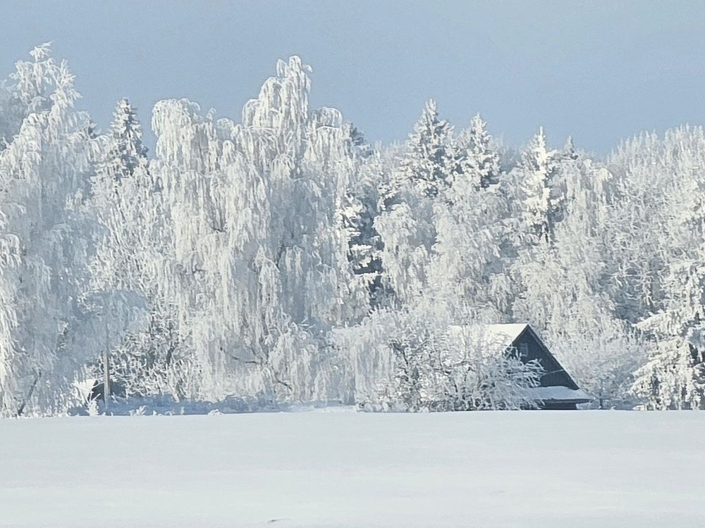 Фотография автора Мария Рудаковская