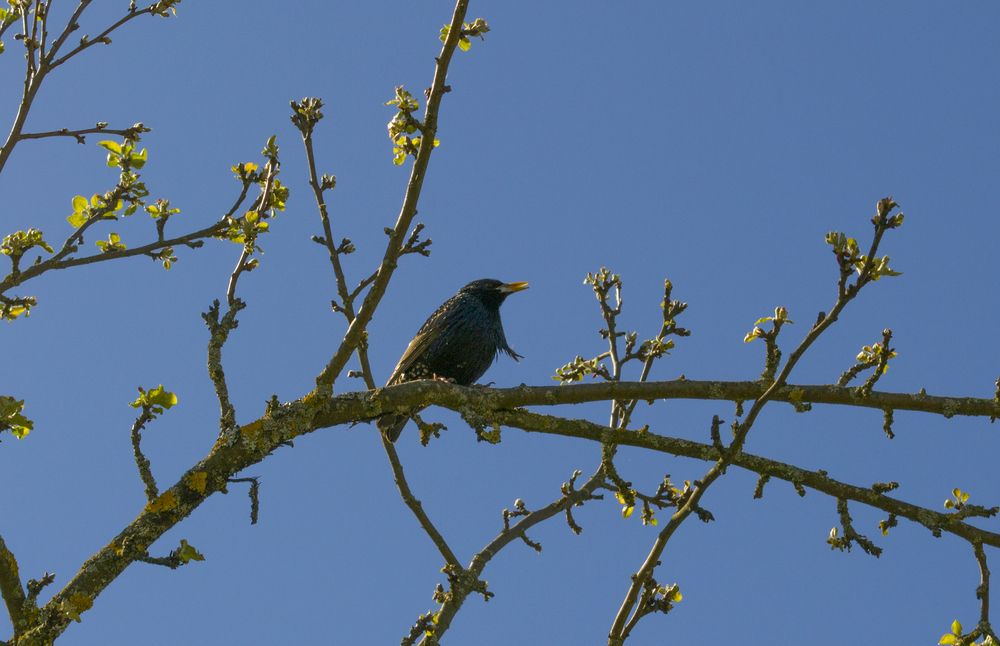 Photograph by Елизавета Большакова