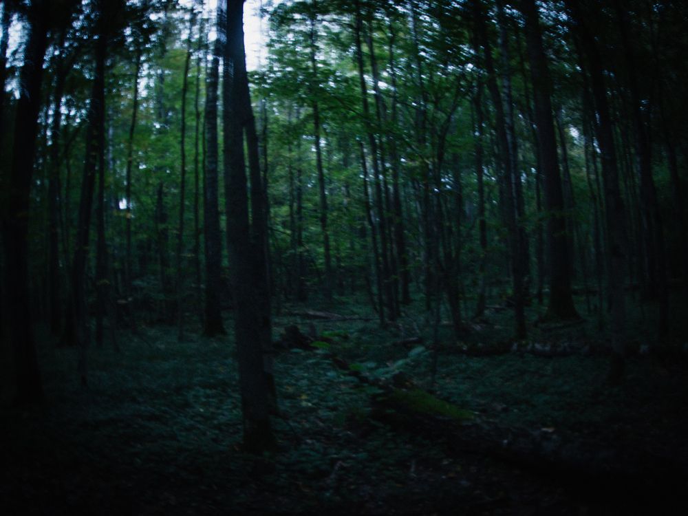 Photograph by Михаил Конте