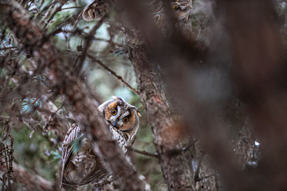 Photograph by Лупина Михаил