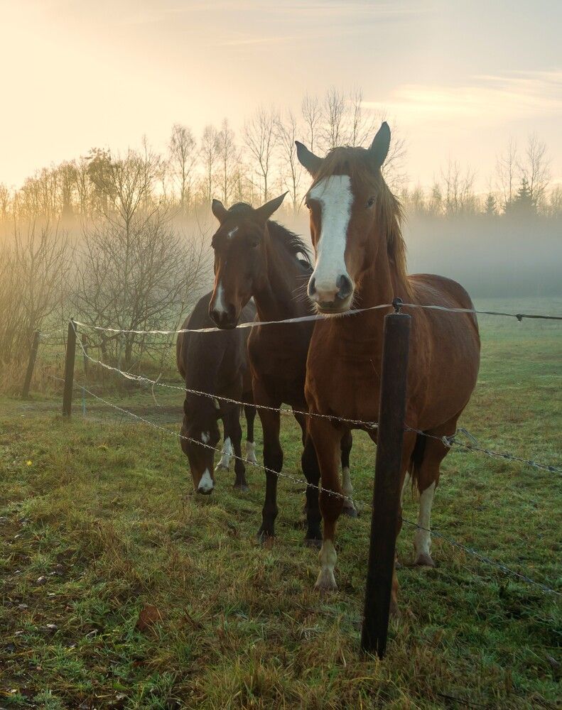 Photograph by Agita Leimane