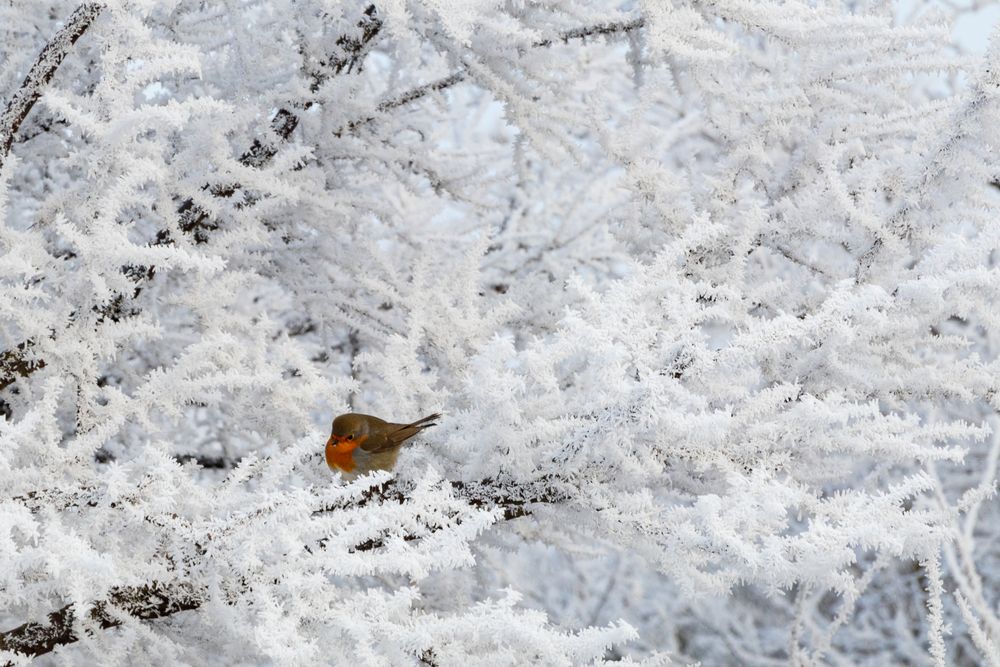Photograph by Вячеслав Рудинский