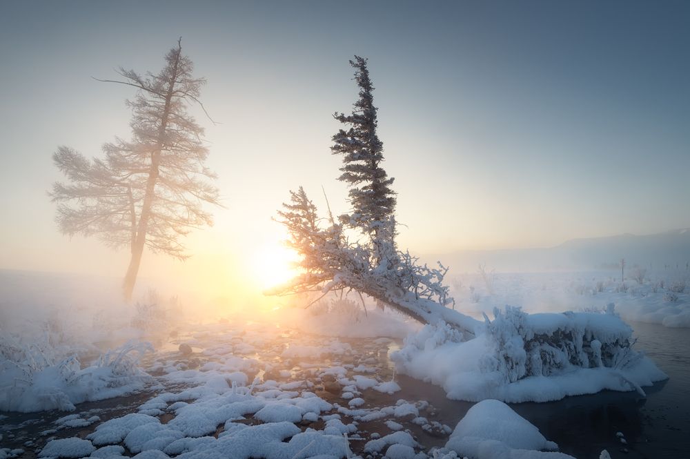 Photograph by Рубан Алёна