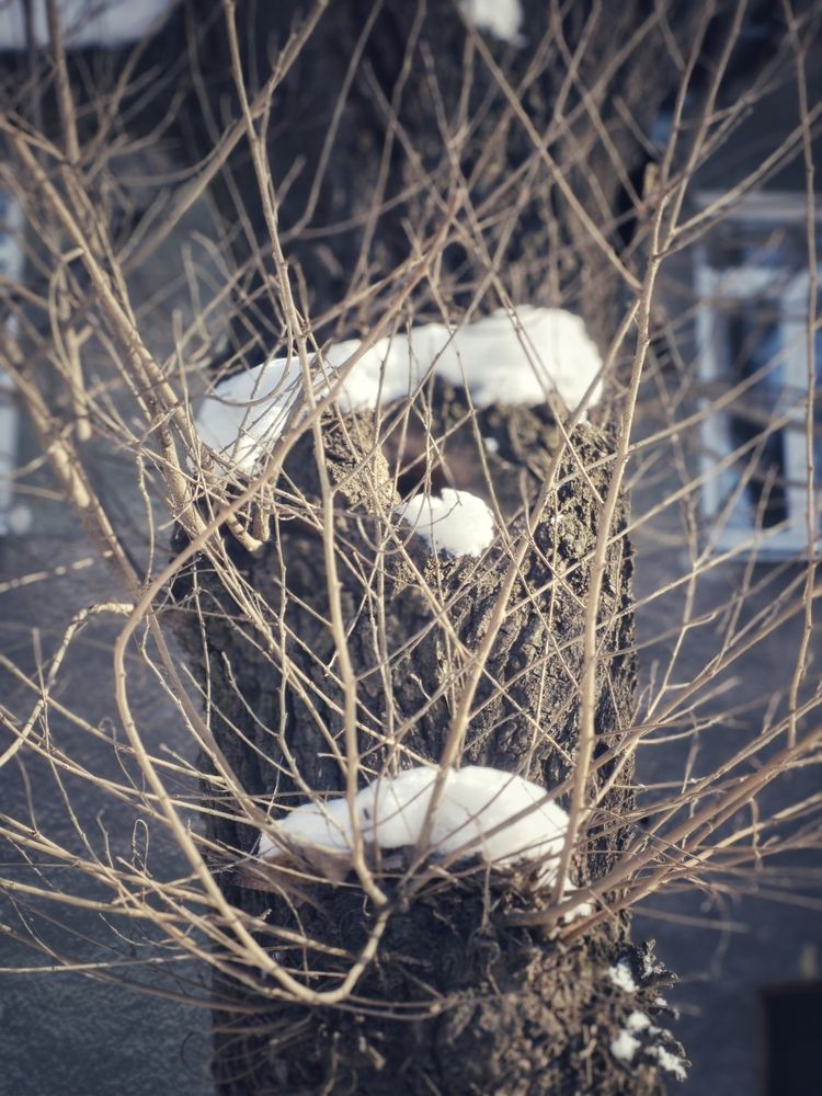 Photograph by Лилия Фролова