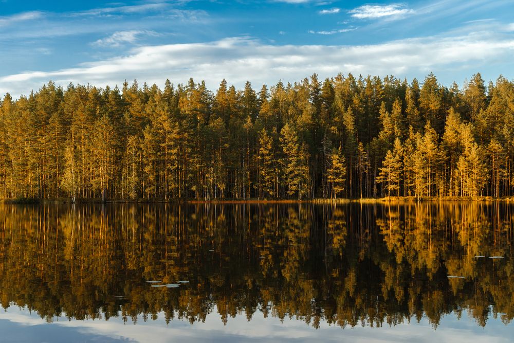 Photograph by Ксения Плоткина
