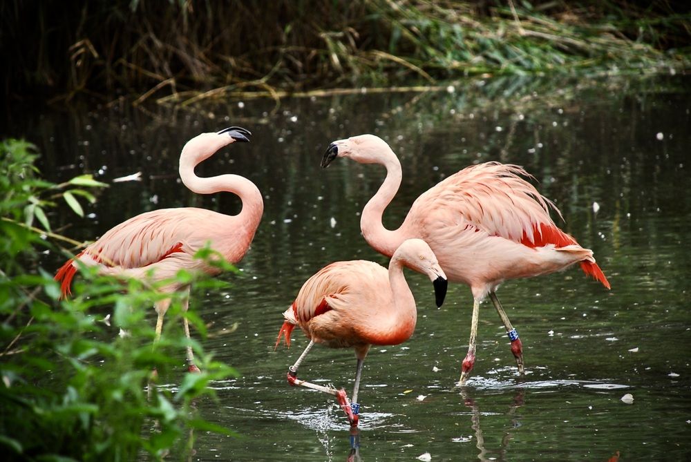 Photograph by Наталья Сельцова