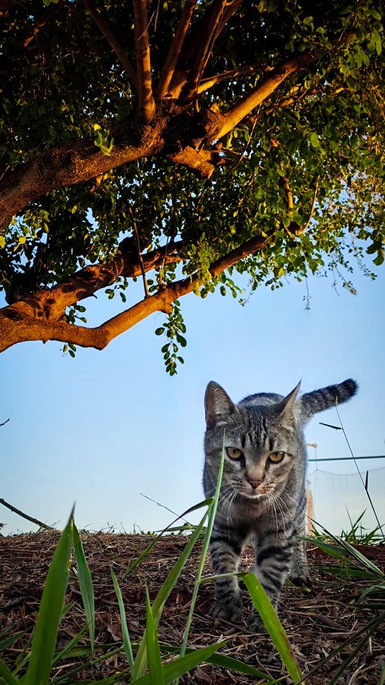Photograph by RIVALDO BEZERRA