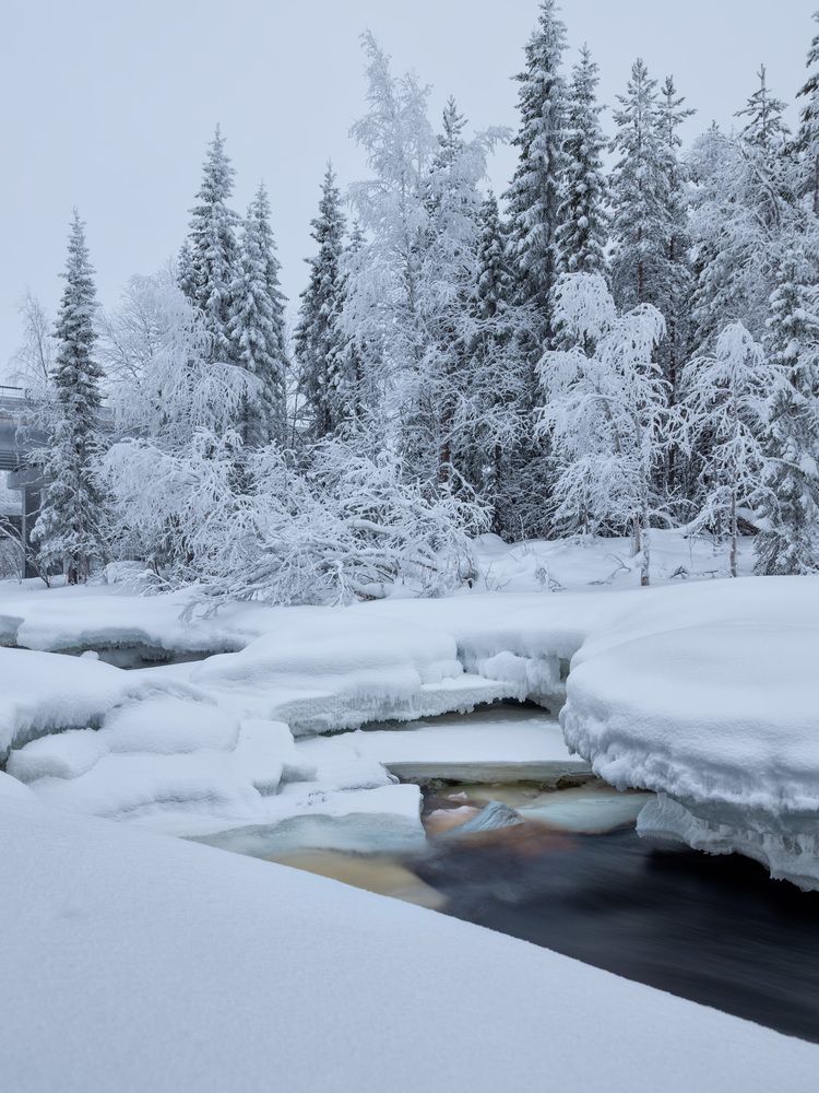 Photograph by Ворошилов Александр