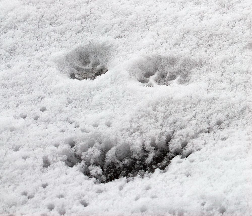 Фотография автора Борис Журавлёв