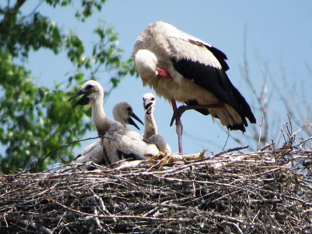 Photograph by Лариса Басова