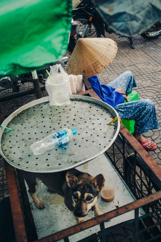 Фотография автора Huy Hoang Do