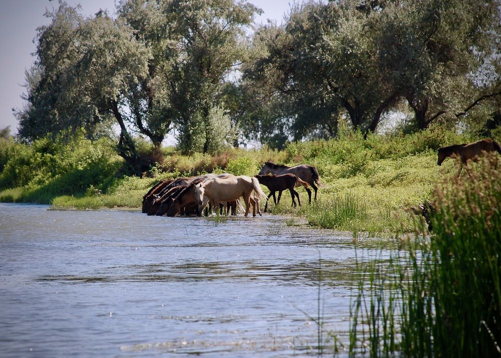 Photograph by Наталья Сельцова
