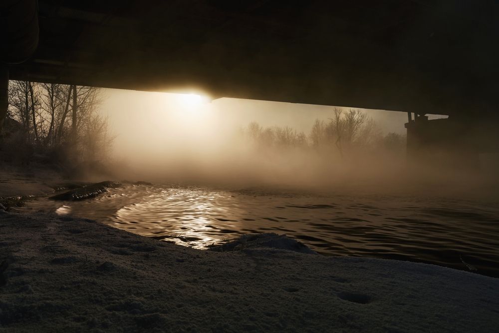 Photograph by Max